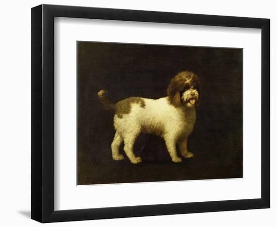 A Water Spaniel, 1769-George Stubbs-Framed Giclee Print