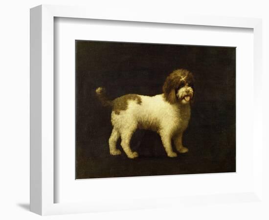 A Water Spaniel, 1769-George Stubbs-Framed Giclee Print