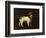 A Water Spaniel, 1769-George Stubbs-Framed Giclee Print