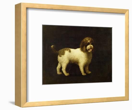 A Water Spaniel, 1769-George Stubbs-Framed Premium Giclee Print