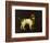 A Water Spaniel, 1769-George Stubbs-Framed Premium Giclee Print