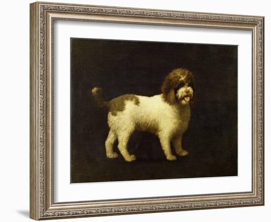 A Water Spaniel, 1769-George Stubbs-Framed Giclee Print