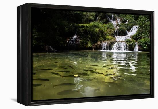 A Waterfall and Fish in the Rio Do Peixe in Bonito, Brazil-Alex Saberi-Framed Premier Image Canvas