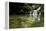 A Waterfall and Fish in the Rio Do Peixe in Bonito, Brazil-Alex Saberi-Framed Premier Image Canvas