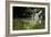 A Waterfall and Fish in the Rio Do Peixe in Bonito, Brazil-Alex Saberi-Framed Photographic Print