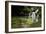 A Waterfall and Fish in the Rio Do Peixe in Bonito, Brazil-Alex Saberi-Framed Photographic Print