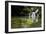 A Waterfall and Fish in the Rio Do Peixe in Bonito, Brazil-Alex Saberi-Framed Photographic Print