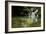 A Waterfall and Fish in the Rio Do Peixe in Bonito, Brazil-Alex Saberi-Framed Photographic Print