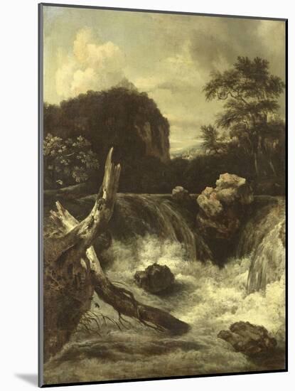A Waterfall (Cascade)-Jan van Kessel-Mounted Art Print