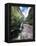 A Waterfall in a Gorge in Chapada Diamantina National Park-Alex Saberi-Framed Premier Image Canvas