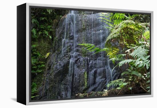 A Waterfall in the Mountain Jungles of the Serra Da Mantiqueira in Sao Paulo State-Alex Saberi-Framed Premier Image Canvas