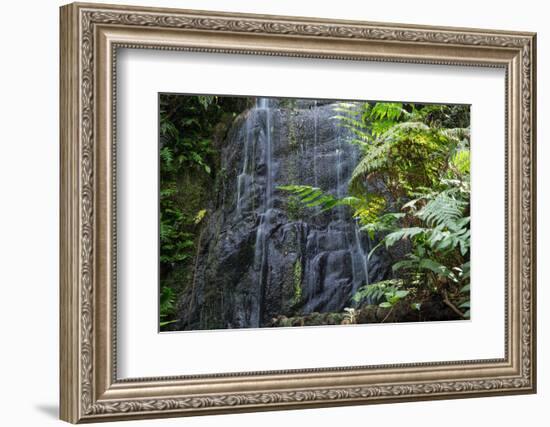 A Waterfall in the Mountain Jungles of the Serra Da Mantiqueira in Sao Paulo State-Alex Saberi-Framed Photographic Print