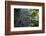 A Waterfall in the Mountain Jungles of the Serra Da Mantiqueira in Sao Paulo State-Alex Saberi-Framed Photographic Print