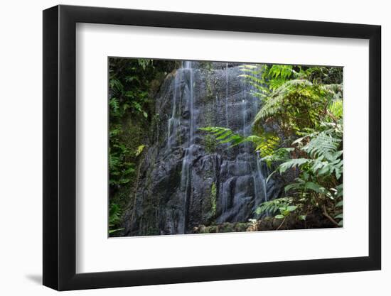 A Waterfall in the Mountain Jungles of the Serra Da Mantiqueira in Sao Paulo State-Alex Saberi-Framed Photographic Print