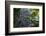 A Waterfall in the Mountain Jungles of the Serra Da Mantiqueira in Sao Paulo State-Alex Saberi-Framed Photographic Print