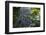 A Waterfall in the Mountain Jungles of the Serra Da Mantiqueira in Sao Paulo State-Alex Saberi-Framed Photographic Print