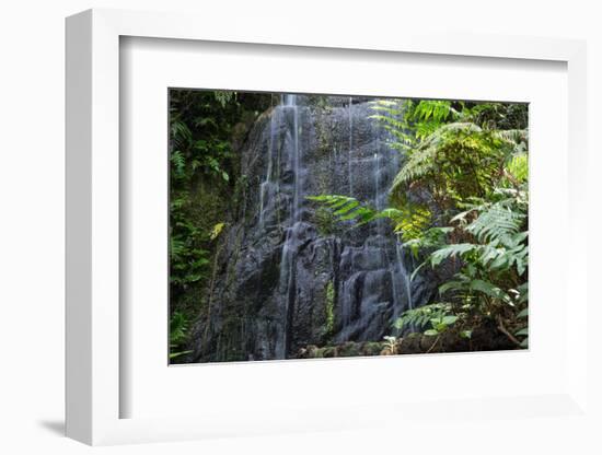 A Waterfall in the Mountain Jungles of the Serra Da Mantiqueira in Sao Paulo State-Alex Saberi-Framed Photographic Print