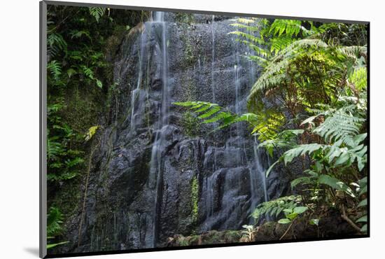 A Waterfall in the Mountain Jungles of the Serra Da Mantiqueira in Sao Paulo State-Alex Saberi-Mounted Photographic Print