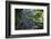 A Waterfall in the Mountain Jungles of the Serra Da Mantiqueira in Sao Paulo State-Alex Saberi-Framed Photographic Print