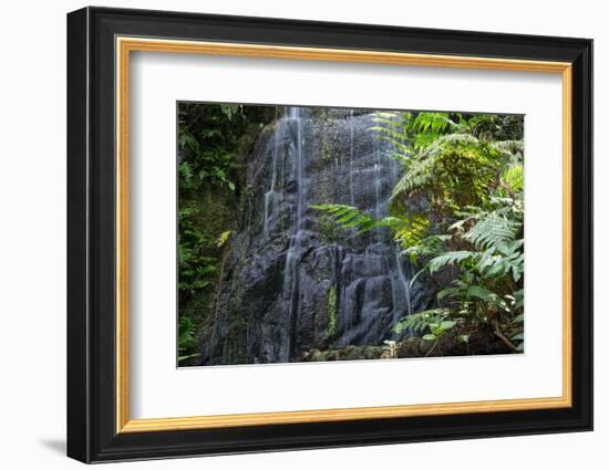 A Waterfall in the Mountain Jungles of the Serra Da Mantiqueira in Sao Paulo State-Alex Saberi-Framed Photographic Print