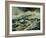 A Wave-Pol Ledent-Framed Art Print