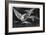 A Way of Flying, 1819-1823-Francisco de Goya-Framed Giclee Print