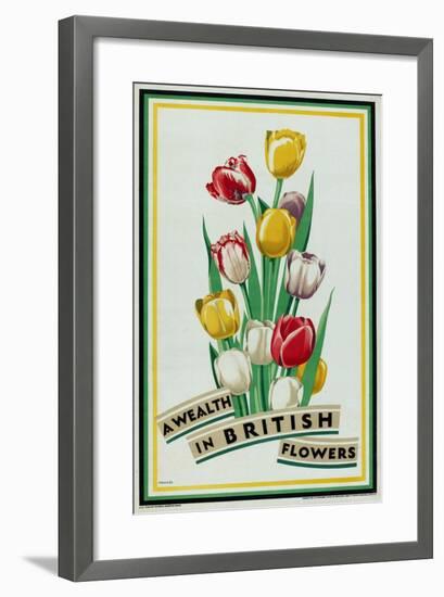 A Wealth in British Flowers, from the Series 'British Bulbs for Home Gardens'-Fawkes-Framed Giclee Print