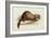 A Weasel, 1832-Edward Lear-Framed Giclee Print