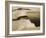 A Weddell Seal About to Dive at West Beach, Cape Evans, Antarctica, 1911-Herbert Ponting-Framed Photographic Print