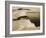 A Weddell Seal About to Dive at West Beach, Cape Evans, Antarctica, 1911-Herbert Ponting-Framed Photographic Print