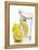 A Wedge of Lemon Falling into a Glass of Water-Kröger & Gross-Framed Premier Image Canvas