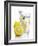 A Wedge of Lemon Falling into a Glass of Water-Kröger & Gross-Framed Photographic Print