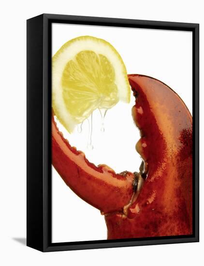 A Wedge of Lemon in a Lobster Claw-Peter Howard Smith-Framed Premier Image Canvas