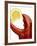 A Wedge of Lemon in a Lobster Claw-Peter Howard Smith-Framed Photographic Print