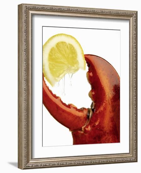 A Wedge of Lemon in a Lobster Claw-Peter Howard Smith-Framed Photographic Print