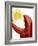 A Wedge of Lemon in a Lobster Claw-Peter Howard Smith-Framed Photographic Print