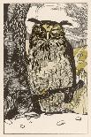 Winking Owl Perched on a Branch, by the Look of It It's an Eagle Owl-A Weisgerber-Art Print