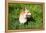 A Welsh Corgi Pembroke Dog in the Grass-SelenaRus-Framed Premier Image Canvas