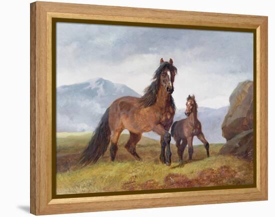 A Welsh Mountain Mare and Foal, 1854-John Frederick Herring I-Framed Premier Image Canvas