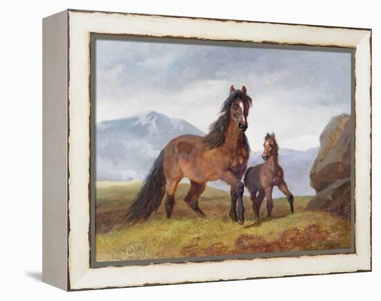 A Welsh Mountain Mare and Foal, 1854-John Frederick Herring I-Framed Premier Image Canvas