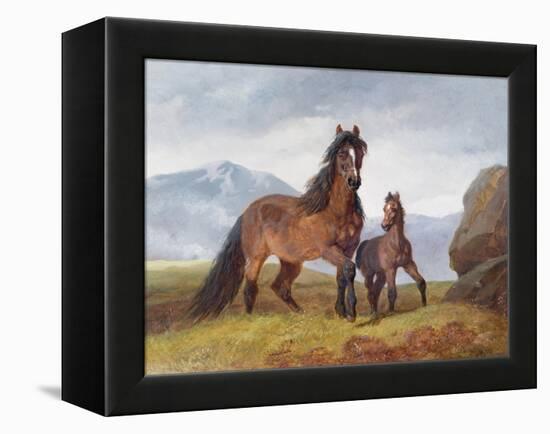 A Welsh Mountain Mare and Foal, 1854-John Frederick Herring I-Framed Premier Image Canvas