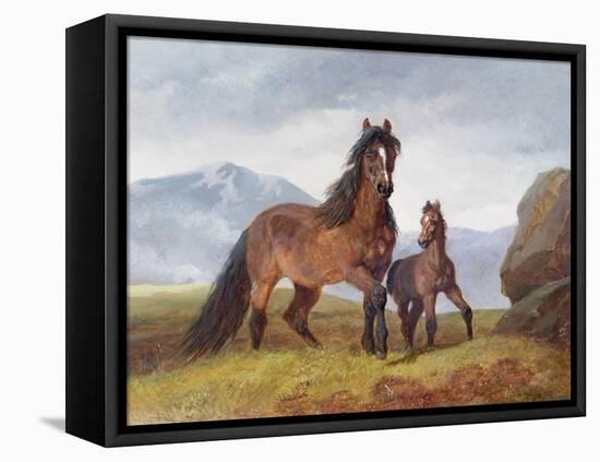 A Welsh Mountain Mare and Foal, 1854-John Frederick Herring I-Framed Premier Image Canvas