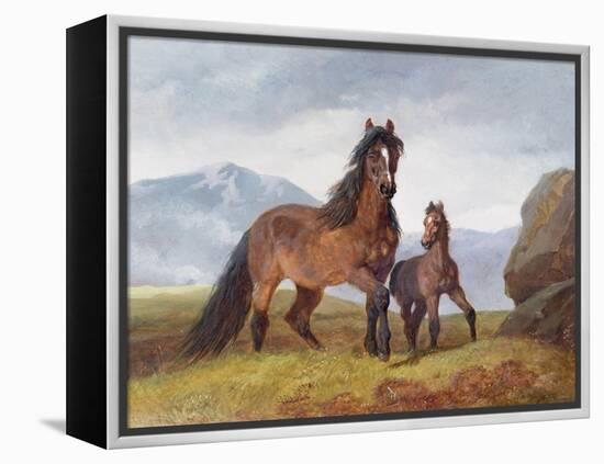 A Welsh Mountain Mare and Foal, 1854-John Frederick Herring I-Framed Premier Image Canvas