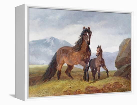 A Welsh Mountain Mare and Foal, 1854-John Frederick Herring I-Framed Premier Image Canvas