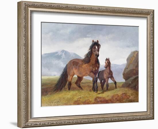A Welsh Mountain Mare and Foal, 1854-John Frederick Herring I-Framed Giclee Print