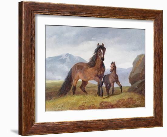 A Welsh Mountain Mare and Foal, 1854-John Frederick Herring I-Framed Giclee Print