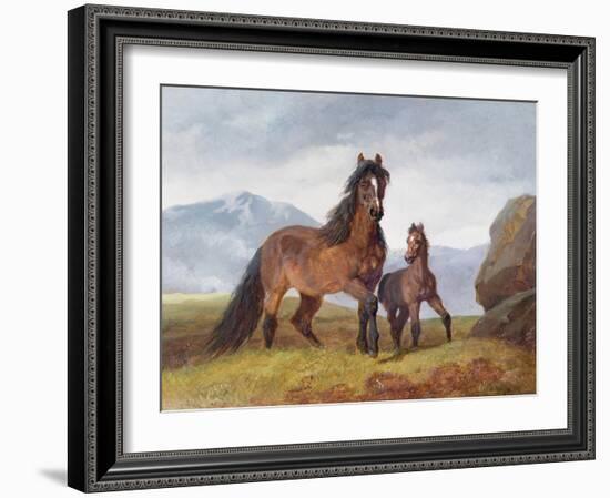 A Welsh Mountain Mare and Foal, 1854-John Frederick Herring I-Framed Giclee Print