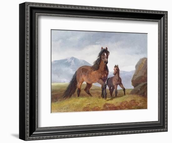 A Welsh Mountain Mare and Foal, 1854-John Frederick Herring I-Framed Giclee Print