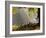 A Western Jackdaw, Corvus Monedula, in a Misty Autumn Landscape-Alex Saberi-Framed Photographic Print