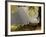 A Western Jackdaw, Corvus Monedula, in a Misty Autumn Landscape-Alex Saberi-Framed Photographic Print